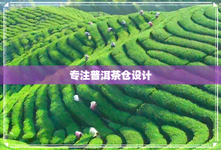 专注普洱茶仓设计