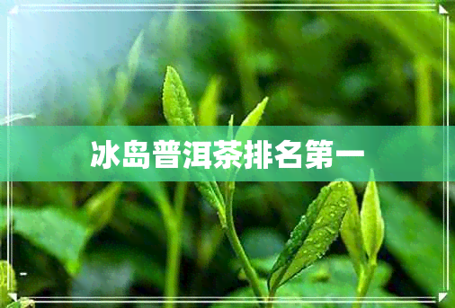 冰岛普洱茶排名之一