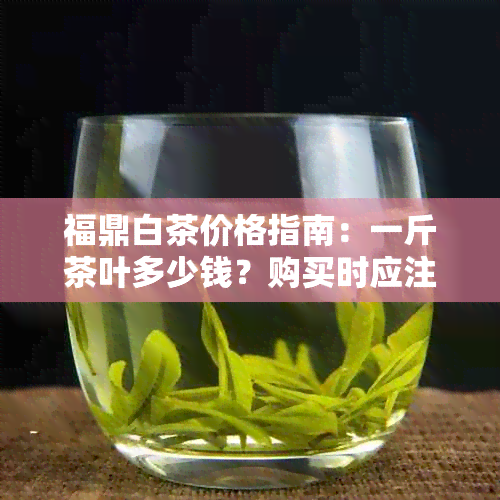 福鼎白茶价格指南：一斤茶叶多少钱？购买时应注意什么？