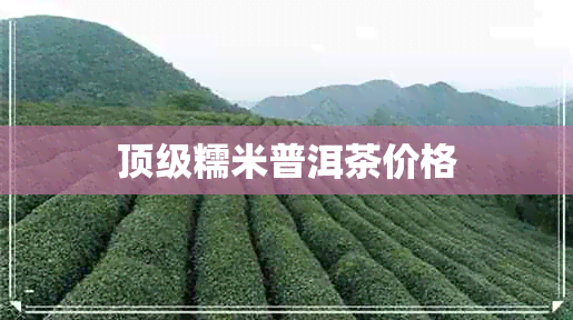 顶级糯米普洱茶价格