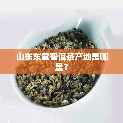 山东东营普洱茶产地是哪里？