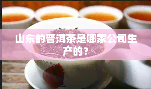 山东的普洱茶是哪家公司生产的？