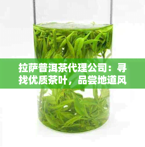  *** 普洱茶代理公司：寻找优质茶叶，品尝地道风味，了解代理流程和服务