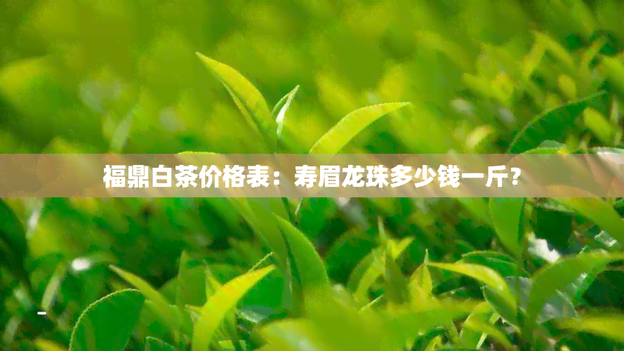 福鼎白茶价格表：寿眉龙珠多少钱一斤？