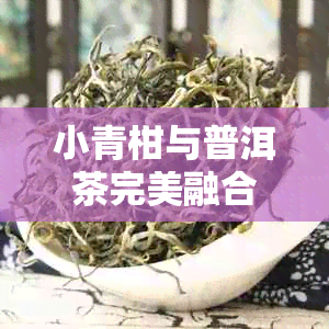 小青柑与普洱茶完美融合：一杯口感与功效兼具的云南特色茶饮