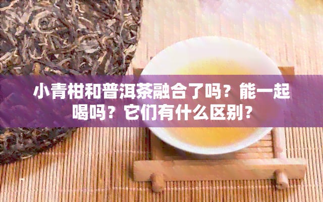 小青柑和普洱茶融合了吗？能一起喝吗？它们有什么区别？