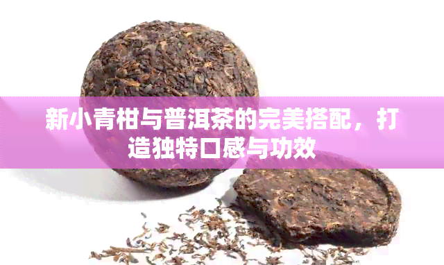 新小青柑与普洱茶的完美搭配，打造独特口感与功效