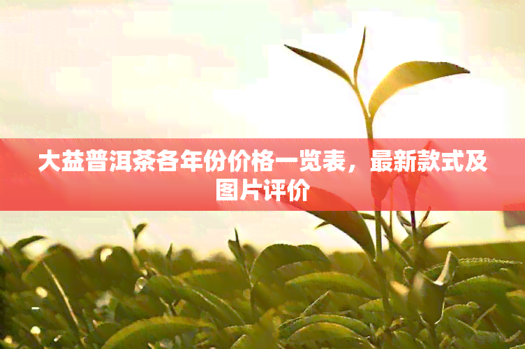 大益普洱茶各年份价格一览表，最新款式及图片评价