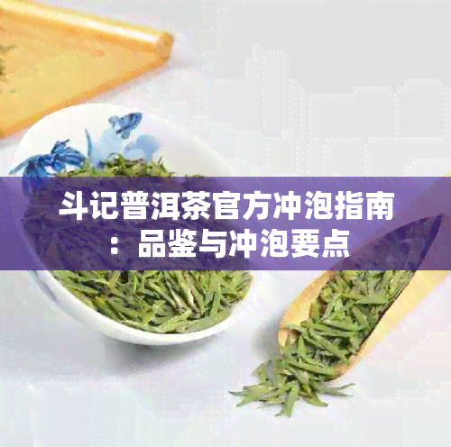 斗记普洱茶官方冲泡指南：品鉴与冲泡要点