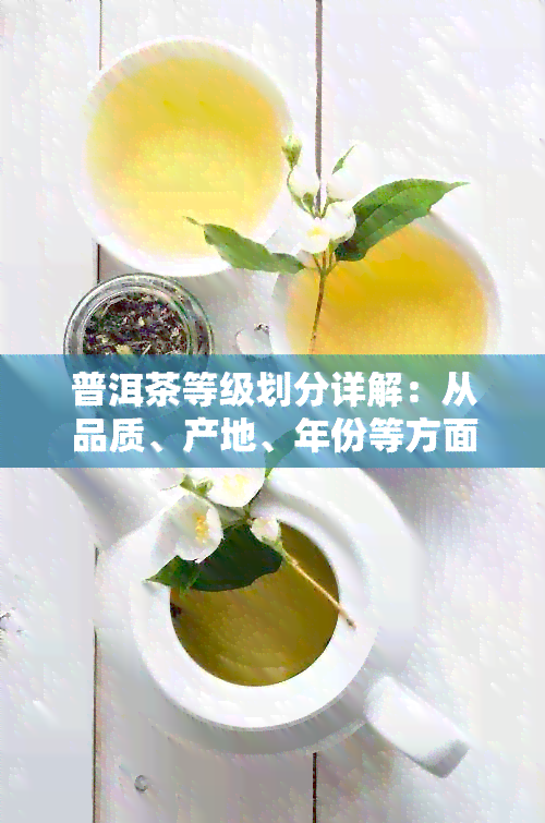 普洱茶等级划分详解：从品质、产地、年份等方面全面解析如何选择与品鉴