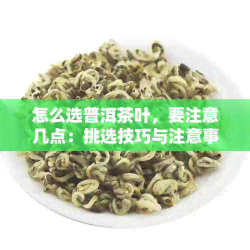 怎么选普洱茶叶，要注意几点：挑选技巧与注意事项