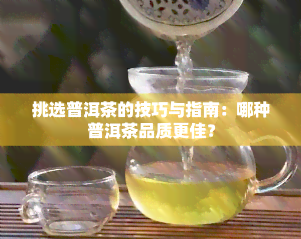 挑选普洱茶的技巧与指南：哪种普洱茶品质更佳？