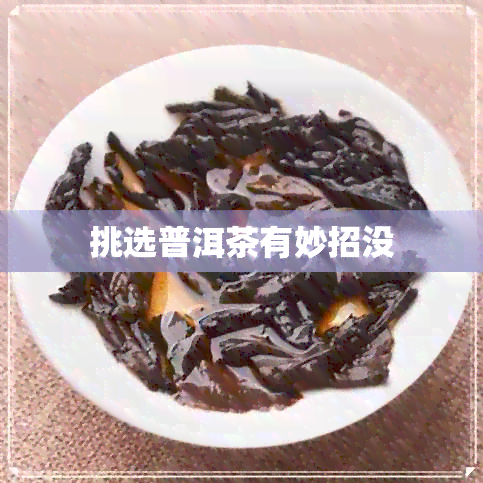 挑选普洱茶有妙招没