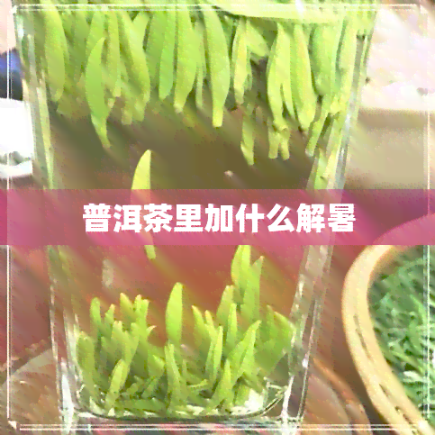 普洱茶里加什么解暑