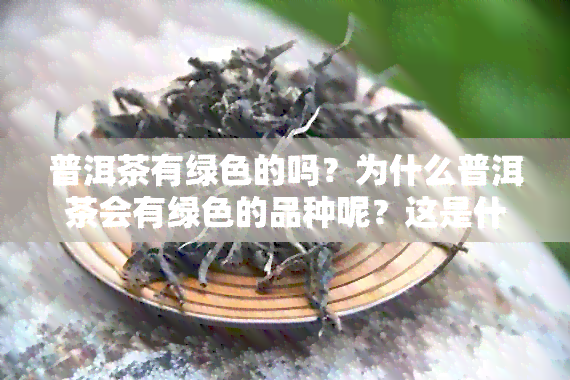 普洱茶有绿色的吗？为什么普洱茶会有绿色的品种呢？这是什么茶？