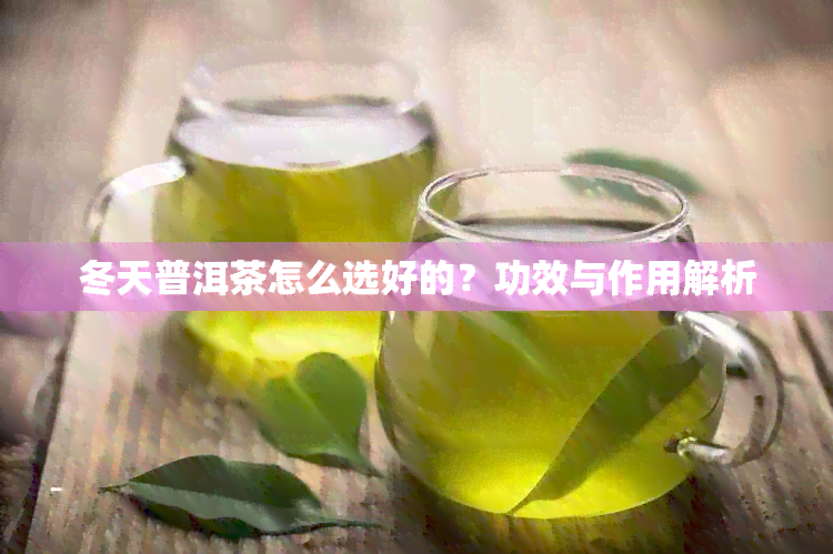 冬天普洱茶怎么选好的？功效与作用解析