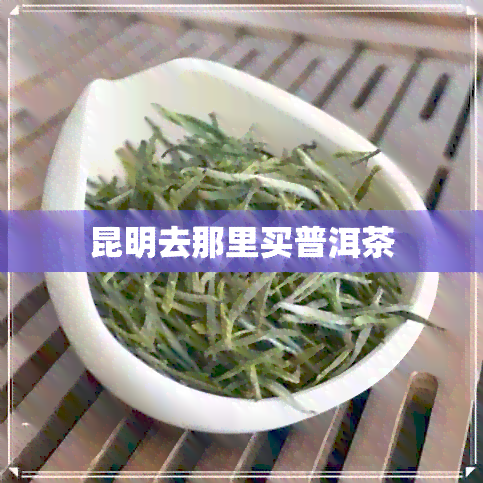 昆明去那里买普洱茶