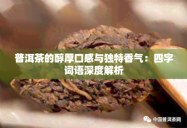 普洱茶的醇厚口感与独特香气：四字词语深度解析