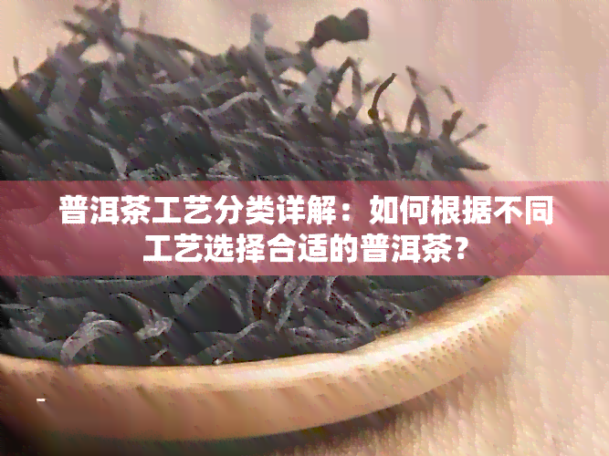 普洱茶工艺分类详解：如何根据不同工艺选择合适的普洱茶？