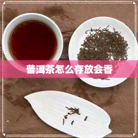 普洱茶怎么存放会香