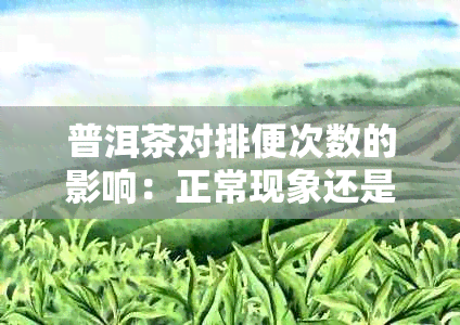 普洱茶对排便次数的影响：正常现象还是健问题？