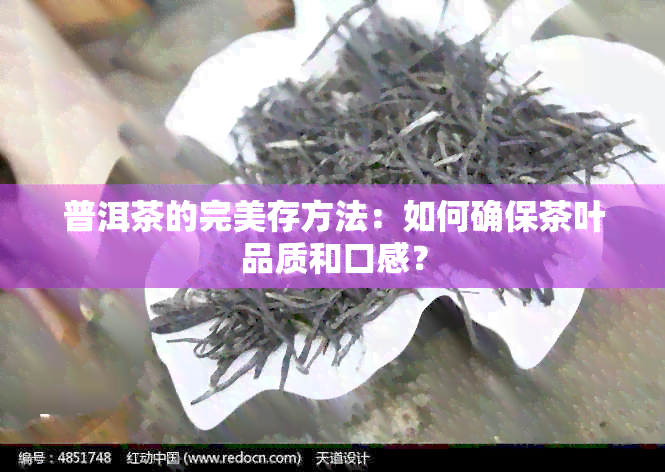 普洱茶的完美存方法：如何确保茶叶品质和口感？