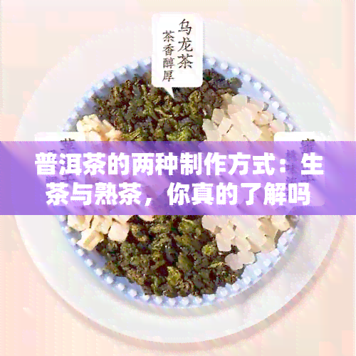 普洱茶的两种制作方式：生茶与熟茶，你真的了解吗？