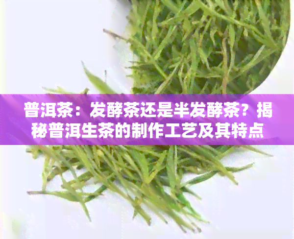 普洱茶：发酵茶还是半发酵茶？揭秘普洱生茶的制作工艺及其特点