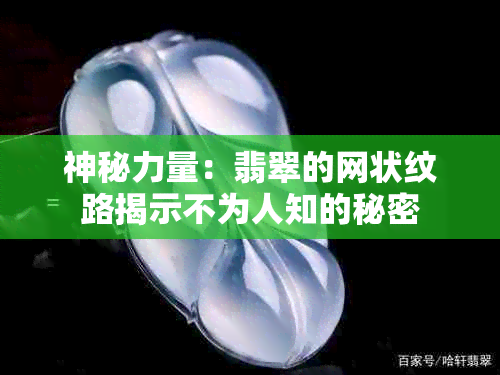 神秘力量：翡翠的网状纹路揭示不为人知的秘密