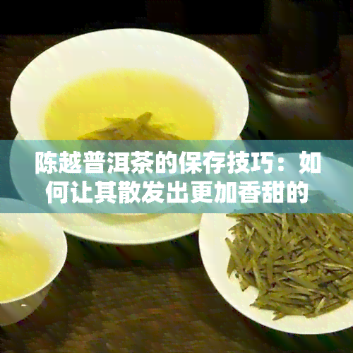 陈越普洱茶的保存技巧：如何让其散发出更加香甜的味道