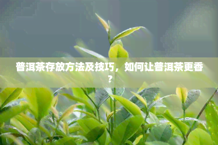 普洱茶存放方法及技巧，如何让普洱茶更香？