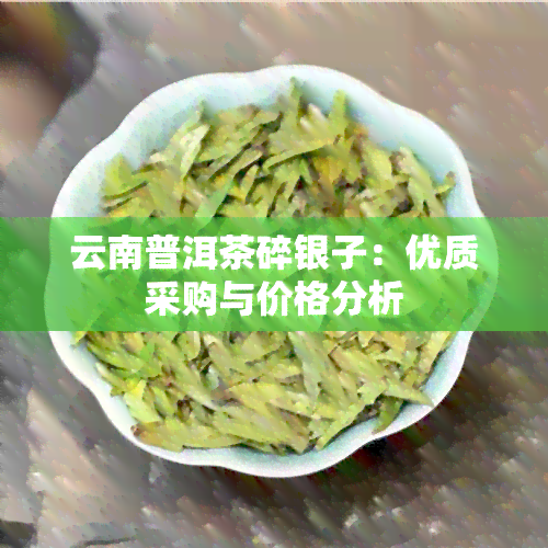 云南普洱茶碎银子：优质采购与价格分析