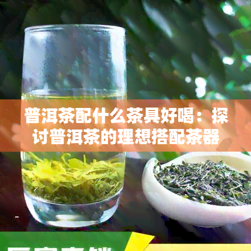 普洱茶配什么茶具好喝：探讨普洱茶的理想搭配茶器