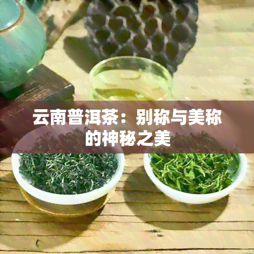 云南普洱茶：别称与美称的神秘之美