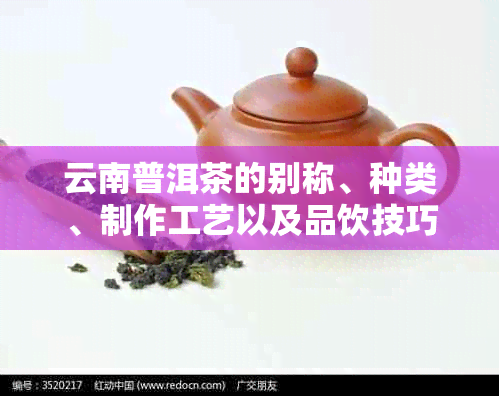 云南普洱茶的别称、种类、制作工艺以及品饮技巧：一篇全面指南