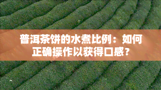 普洱茶饼的水煮比例：如何正确操作以获得口感？