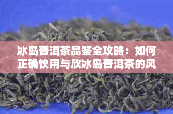 冰岛普洱茶品鉴全攻略：如何正确饮用与欣冰岛普洱茶的风味与特点