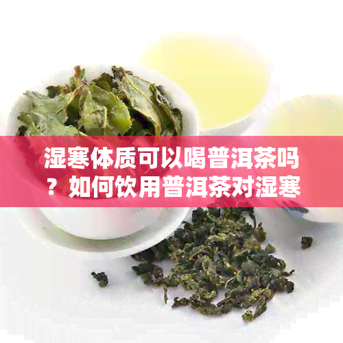 湿寒体质可以喝普洱茶吗？如何饮用普洱茶对湿寒体质更有益？