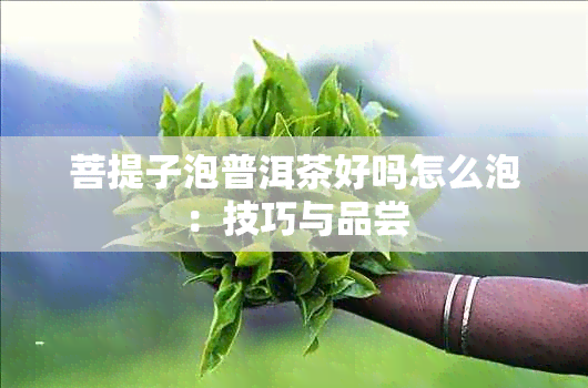 菩提子泡普洱茶好吗怎么泡：技巧与品尝