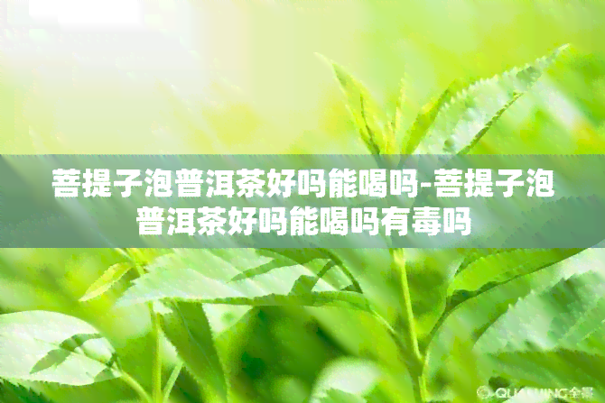 菩提子泡普洱茶好吗能喝吗-菩提子泡普洱茶好吗能喝吗有吗