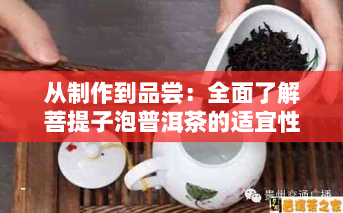 从制作到品尝：全面了解菩提子泡普洱茶的适宜性、健效益与潜在风险