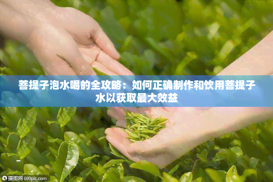 菩提子泡水喝的全攻略：如何正确制作和饮用菩提子水以获取更大效益