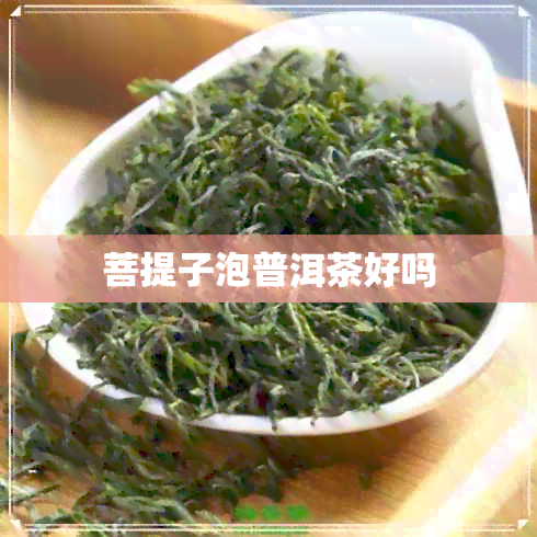 菩提子泡普洱茶好吗