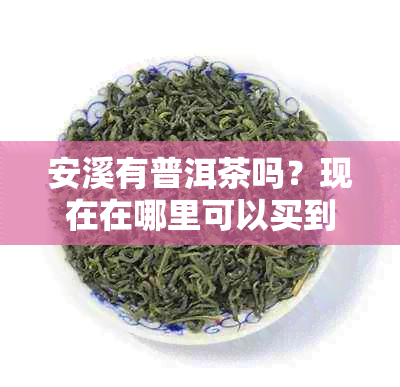 安溪有普洱茶吗？现在在哪里可以买到正宗的安溪普洱茶？价格是多少？