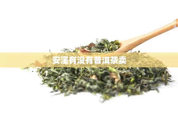 安溪有没有普洱茶卖