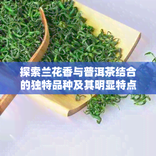 探索兰花香与普洱茶结合的独特品种及其明显特点