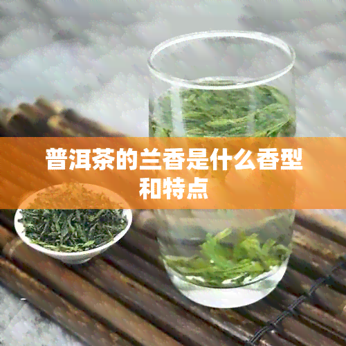 普洱茶的兰香是什么香型和特点