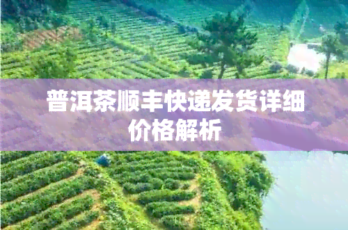 普洱茶顺丰快递发货详细价格解析