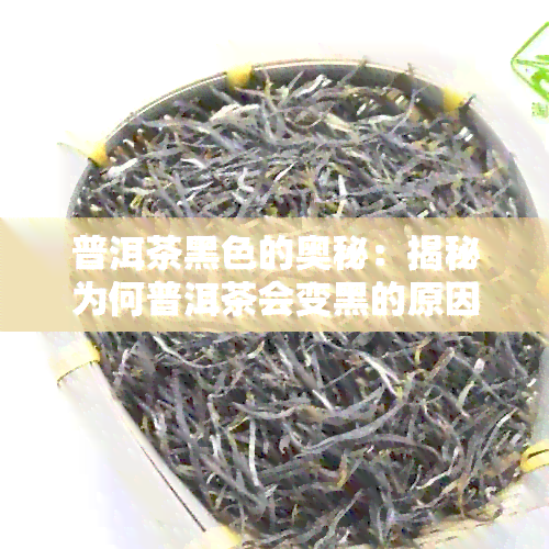 普洱茶黑色的奥秘：揭秘为何普洱茶会变黑的原因与解析