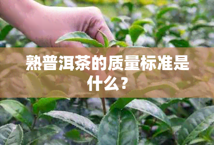 熟普洱茶的质量标准是什么？